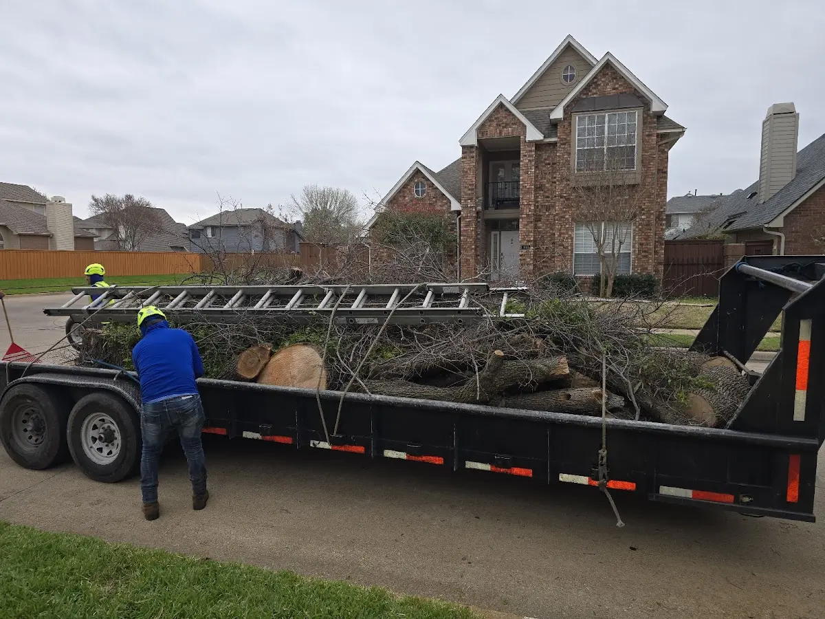 Expert Tree Fertilization with proper safety equipment in Texas City